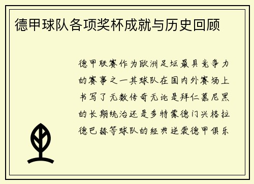 德甲球队各项奖杯成就与历史回顾